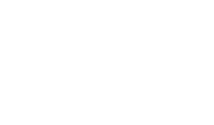 Cargo Pilot